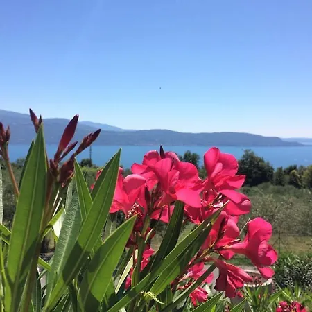 Ξενοδοχείο με διαμερίσματα Caselli Vigole Al Sole Toscolano Maderno