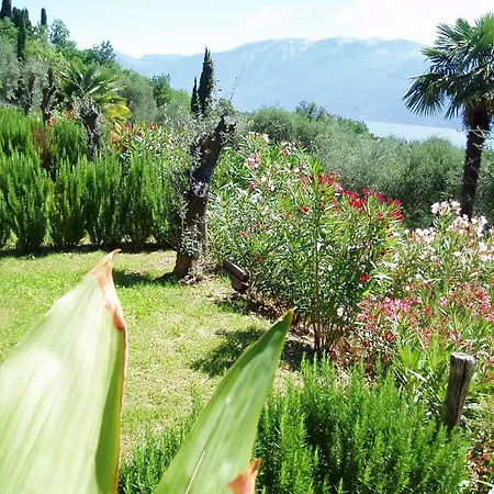 Caselli Vigole Al Sole