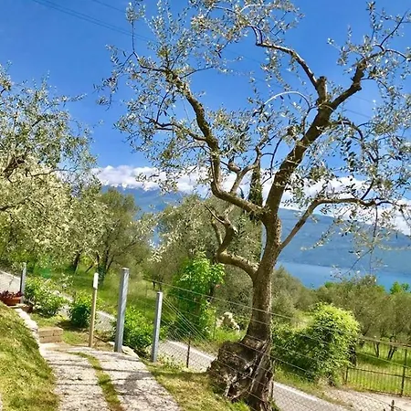 Caselli Vigole Al Sole Aparthotel